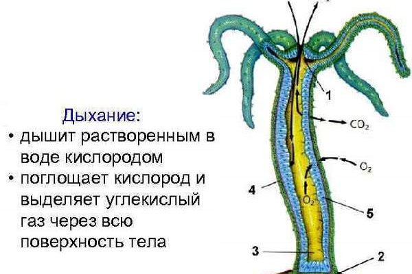 Кракен мефедрон